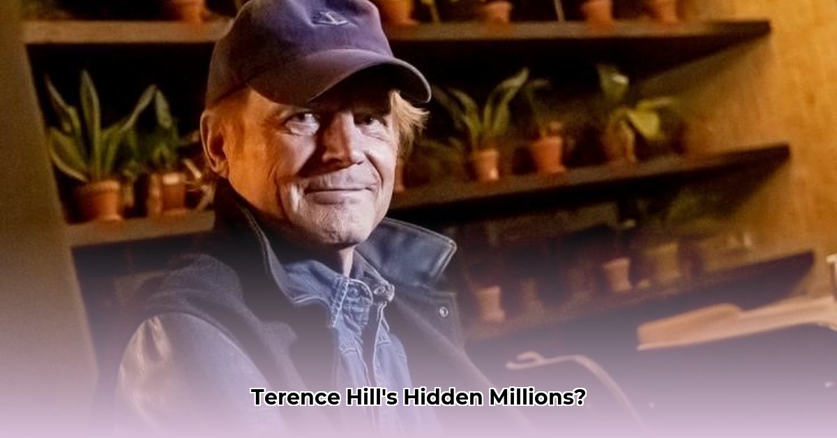 terence-hill-fortune